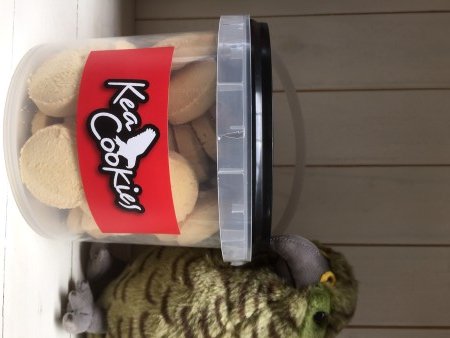 750g pail of Vanilla Cookies.